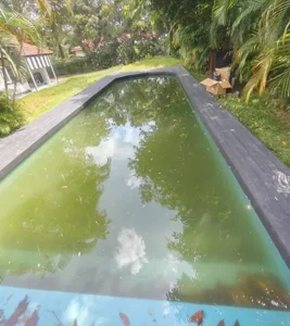 Green-Swimmimg-Pool-Recovery-Service-in-Singapore