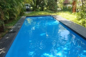 Swimming Pool Green Pool Recovery Service