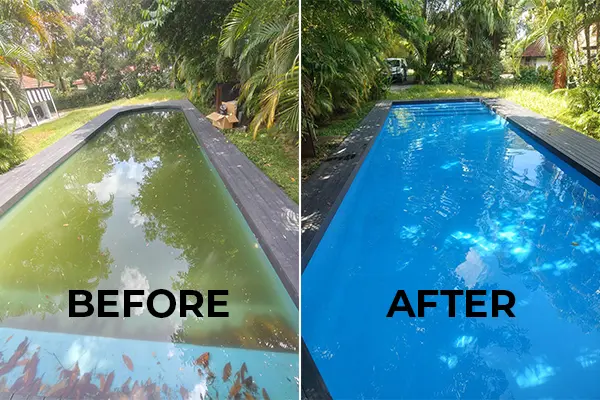 Green-Pool-Recovery