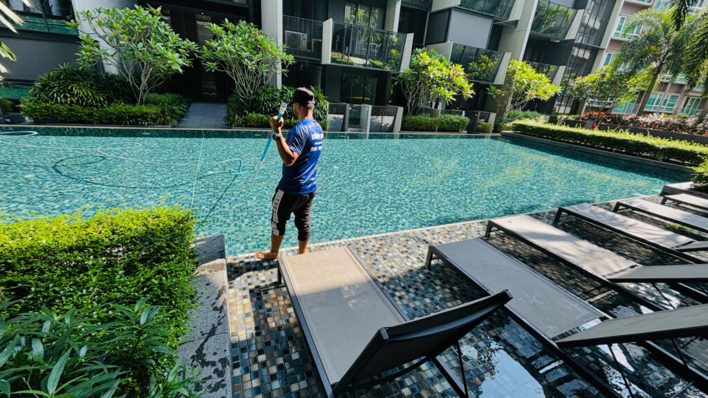 Green Swimming Pool Recovery in Singapore Complete Expert Guide